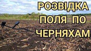 ТУТ НІХТО НЕ КОПАВ▪️ ДУЖЕ ПЕРСПЕКТИВНЕ ПОЛЕ▪️РОЗВІДКА ПОЛЯ ПО ЧЕРНЯХІВСЬКІЙ КУЛЬТУРІ▪️КОП 2024▪️