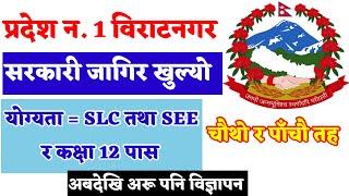 pradesh 1 loksewa vacancy 2079  pradesh 1 loksewa aayog  loksewa vacancy 2079  job vacancy