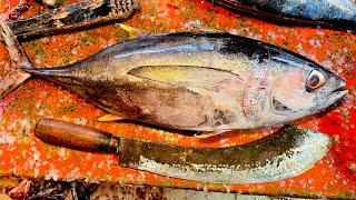 Delicious Big Tuna Fish Cutting Skills In Fish Market  Fish Cutting Skills