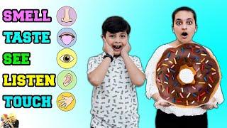 5 SENSES - Smell Taste See Listen & Touch  Funny Blindfold Family challenge  Aayu and Pihu Show