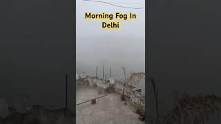 Morning Fog In Delhi #delhi #fog #winter #travel
