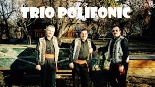 Trio Polifonic - Niculai Niculaita