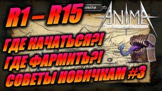 Где качаться по началу. Anima ARPG. Где фармить? Где много мимиков ?