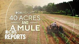 40 Acres and a Mule  CBS Reports