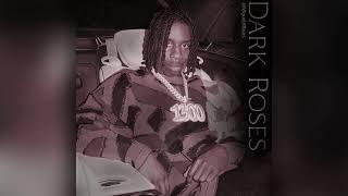{Free} Emotional Piano Loop Kit - Dark Roses  Polo G Lil Tjay Stunna Gambino Lil Durk