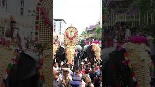 Where the beats of drums and the colors of the festival come to life #ThrissurPooram #Festivals