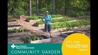Fresh Vegetables Available at NHRMC Community Garden