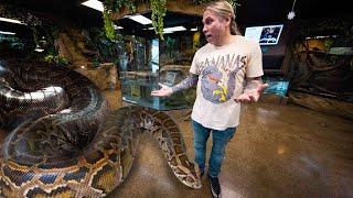 WORLDS LARGEST SNAKES  BRIAN BARCZYK