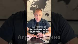 Агро навчання вирощування цибулі