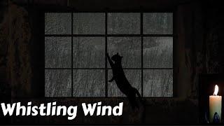 Cold Wind Whistling Through Leaky Window -  Good For Insomnia Relaxation Tinnitus And Meditation