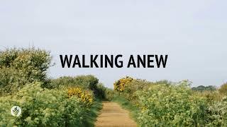 Walking Anew  Audio Reading  Our Daily Bread Devotional  August 24 2024