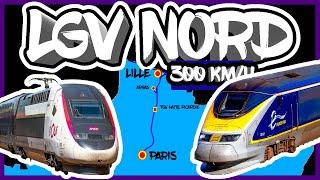 Quelques prises de TGV à 300 kmh sur la LGV NORD EUROPE ft @Ferrouest @Gwenniii_Photographyx 