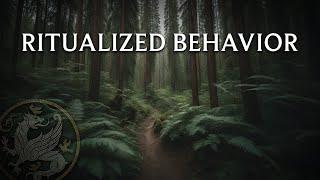 Ritualized Behavior From Animals to Church