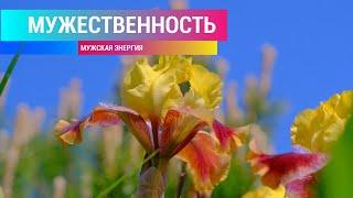 Мужская энергия. Мужественность. Уверенность. Саблиминал Combo. Скрытые аффирмации. для мужчин