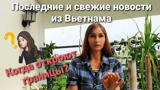 Вьетнам 2021. Когда откроют границы во Вьетнам? Сколько стоит путешествие во Вьетнам сегодня...