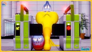 Larva Season 3 Episode 99 123  The BEST of Cartoon Box  Hilarious Situations by Larva Rewind