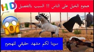 Never miss  Horse attack Dangerous + shoot a real scene