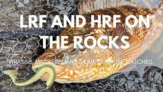 LRF And HRF on the Rocks - Wrasse Mackerel and some surprise catches