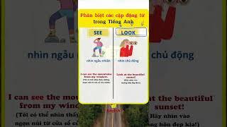 Phân biệt các cặp động từ trong Tiếng Anh  #verbs #english #vocubulary #tuvungtienganh  #shortsvideo