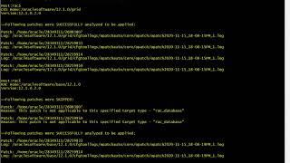 Oracle RAC 12c R1 rolling apply PSU patch demo