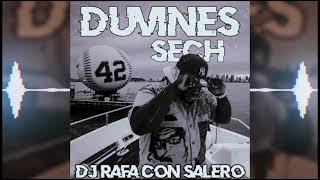 Dj Rafa Con Salero Sech - Duvibes Audio Oficial - Remix