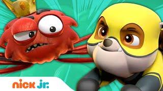 Superhero PAW Patrol Pups vs. Spider King  Nick Jr.