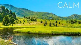 Calm Meditation Music Connect with Nature - Water and Birds’ Sound Relax and Meditate