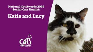 Katie and Lucy  The cats who made Alzheimer’s easier  National Cat Awards 2024