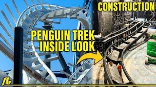 PENGUIN TREK Inside Look Up-Close Construction Update SeaWorld Orlando