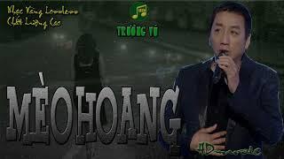 MÈO HOANG - TRƯỜNG VŨ - HDMUSIC NHẠC LOSSLESS CHẤT LƯỢNG CAO