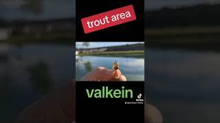 valkein trout area #fishing #pesca #fishingvideo #fishinglife