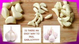 Best Way to Peel Garlic  Most efficient  easiest method to peel garlic