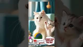 Kucing Kesakitan Melahirkan Anak nya#viral #cat ##shorts #funny #sedih