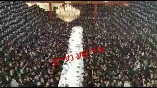 Neilas Hachag Tish In Satmar - 20175778