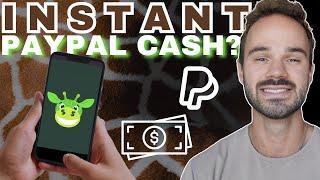 Cash Giraffe Review - FREE PayPal Money EVERY Day? Honest Look