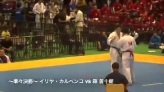 2014 11 3 - 46 All Japan Championship 2014