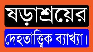 ২৪.১২. ষড়াশ্রয়ের দেহতাত্ত্বিক ব্যাখ্যা। বলন কাঁইজি।