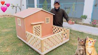 Surprise Cat House Ban Kr A Gia 