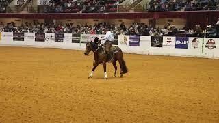 2024 Worlds Greatest Horseman Shawn Hays aboard MoonshineAndTwoAdvil