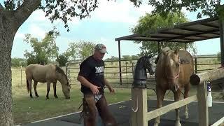 Part 1 of 4 - Riding A Bucking Horse After A Year Of Not Riding - Crazy Horse Tried To Throw Me