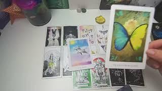 🩵🫧FUTURO INMEDIATO EN EL AMOR🫧🩵 tarot interactivo hoy 