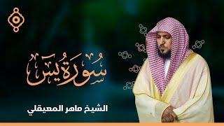 Surat Yasin Maher Al Muaiqly  سورة يس  - الشيخ ماهر المعيقلي