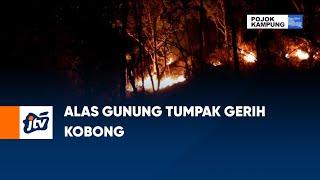 Alas Gunung Tumpak Gerih Kobong  POJOK KAMPUNG JTV