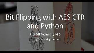 AES Bit-flipping with Python