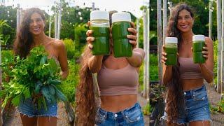 3 Juicing Secrets for Beginners + Simple Healthy & Delicious Green Juice Recipe from My Garden 