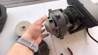 Hot tub pump repair ￼re- circulation pump￼ impeller￼