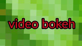 VIDEO BOKEH FULL HD  Bokeh dikebun