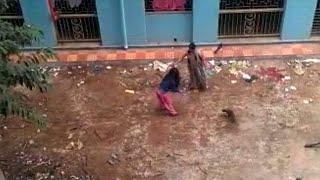 Video shows two women trashing 16 puppies to death in Kolkata