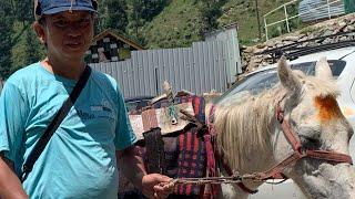 Gangabal Lake Trek camping Naranag Kashmir 1