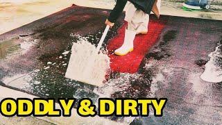 Oddly and Dirty cleaning a Carpet  Carpet Cleaning Services